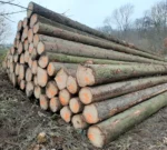 Fichtenstammholz - Komplette LKW-Ladung 50 Raummeter - PEFC-zertifiziert