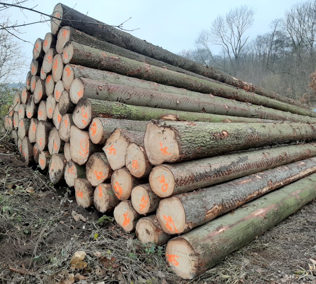 Industrielles Stammholz