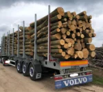 Nadelholz-Stammholz - Komplette LKW-Ladung 50 Raummeter - PEFC-zertifiziert