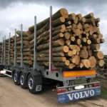 Nadelholz-Stammholz - Komplette LKW-Ladung 50 Raummeter - PEFC-zertifiziert