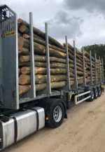 Nadelholz-Stammholz - Komplette LKW-Ladung 50 Raummeter - PEFC-zertifiziert – Bild 2