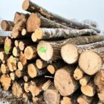 Kiefer-Stammholz - Komplette LKW-Ladung 50 Raummeter - PEFC-zertifiziert